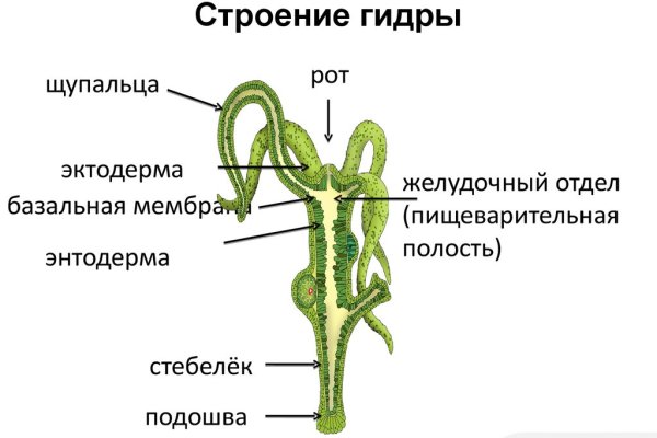 Зеркало на кракен