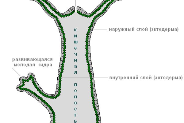 Кракен купить наркоту