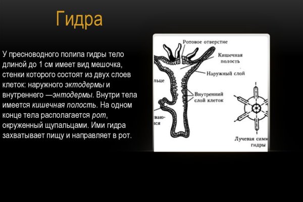 Кракен маркет даркнет только через торг