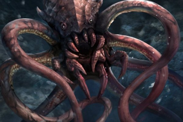 Kraken 11at