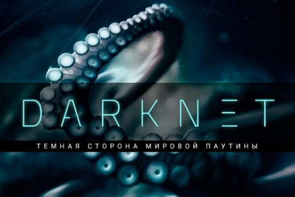 Как найти kraken