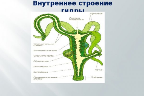 Кракен ссылка на рабочее зеркало
