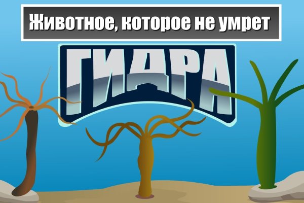 Кракен даркнет маркетплейс